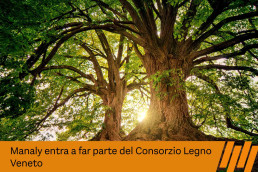 legno veneto