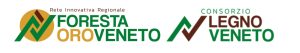 esperienza immersiva progetto fuoco 2024