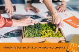 sostenibilità manaly