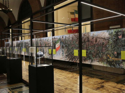 guardia di finanza , 250 anni, Vittoriano Roma, 250 anni tradizione e futuro